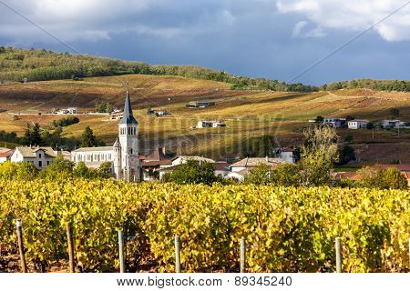 Chenas with vineyard, Beaujolais, Rhone-Alpes, France