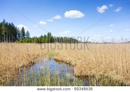 An image of the Ostersee at Iffeldorf in Bavaria Germany