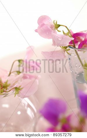 Sweet peas flower