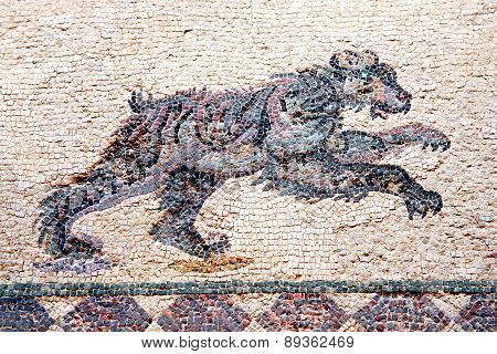 Leopard Roman mosaic