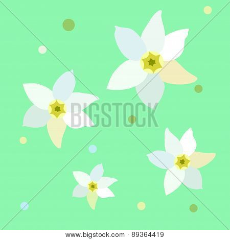 Figure narcissus flower
