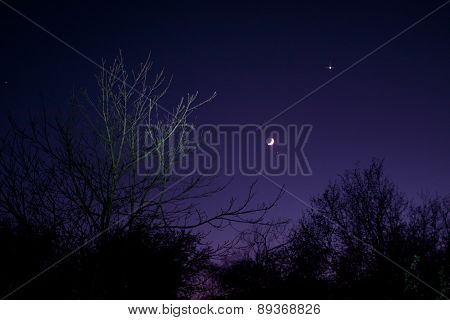 Nightsky With Moon, Venus And Aldebaran