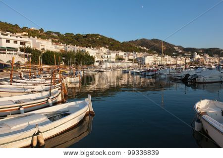Selva Marina