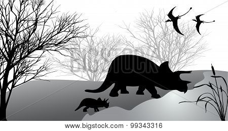 Triceratops