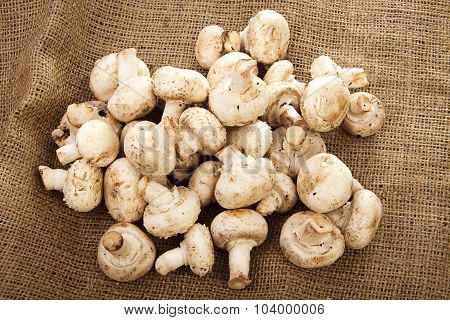 White Mushrooms are heaped on the background of burlap