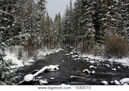 Scène d'hiver
