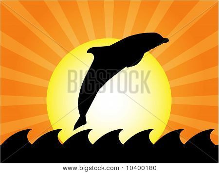 Delfin hoppe
