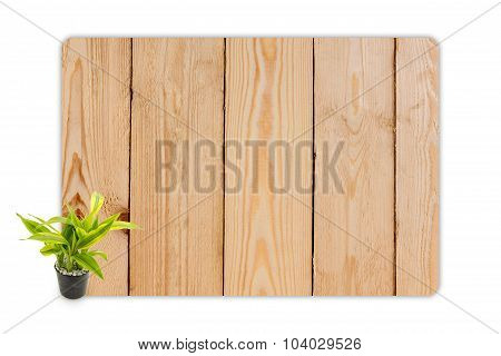 Yucca In The Small Pots On Wood Texture Background.
