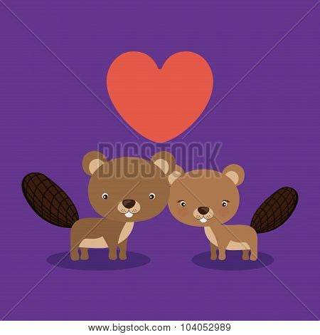Cute animal