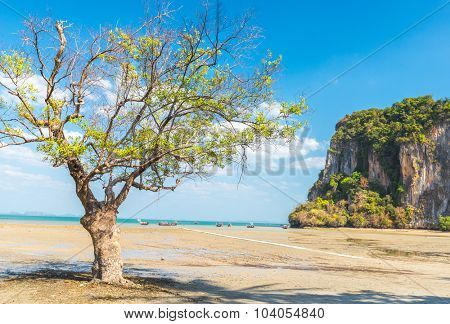low tide at East Railay beach, one of the most popular rock climbing locations in Asia. Railay, Krabi, Thailand 