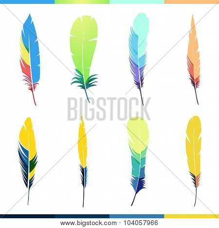 Vector colored feathers set.