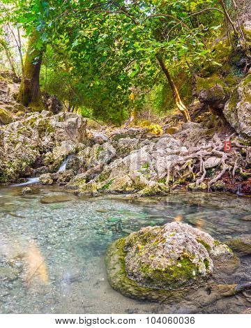 Seven Springs Rhodes