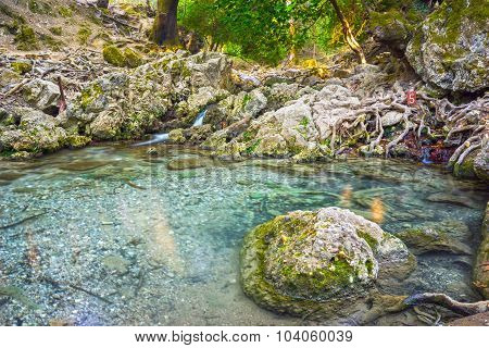 Seven Springs Rhodes