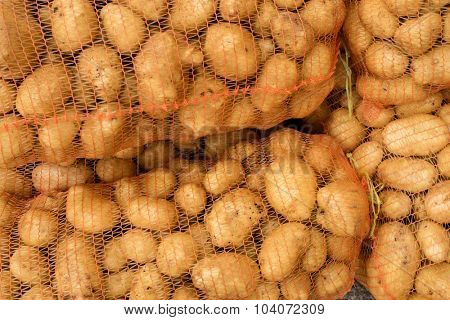 potatoes in net packing