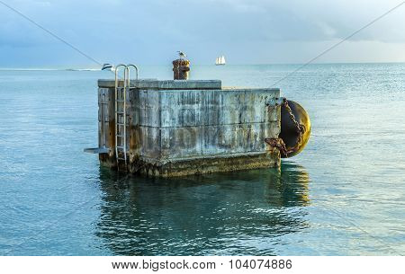 Seagull Sits On A Pontoon With Sunset And Ocean In Background At Key West