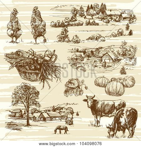 farm, harvest, rural landscape - hand drawn set