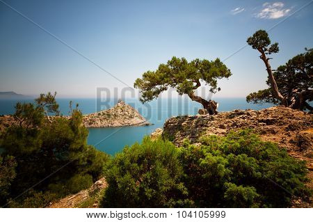 Beautiful Crimean Landscape With A Relic Juniper In The Foreground