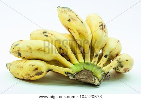 Bunch Of Yellow Small Banana Fruit