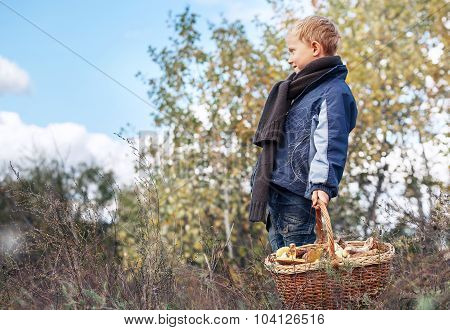 Boy In Autumn Forest With Ful Basket Of Mushrooms