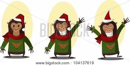 Set Of Monkey