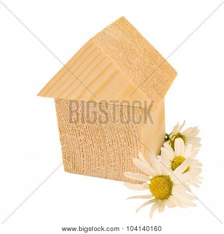Eco Home Concept