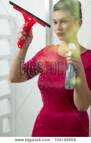 Housewife Cleaning Window