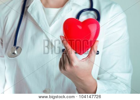 Doctor Hold Heart