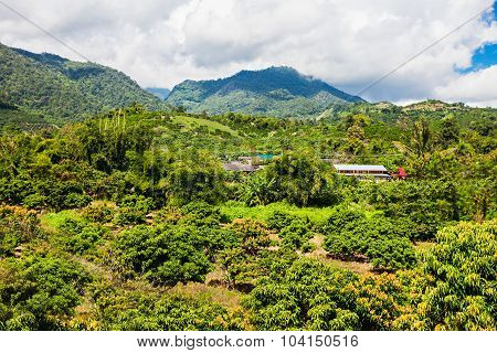 Doi Ang Khang