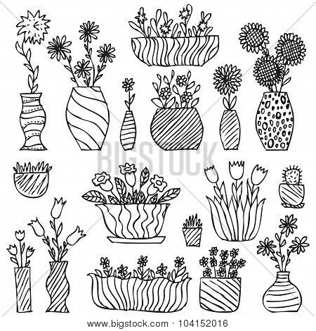 Hand drawn indoor plants in a pots, gloxinia, balsam, tulip, aster