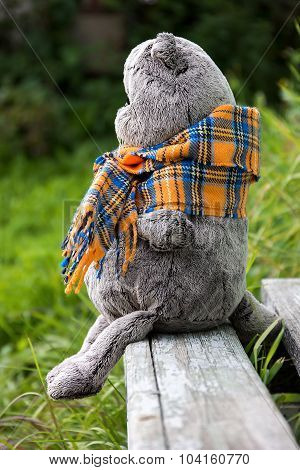 plush toy British cat sitting on a bench