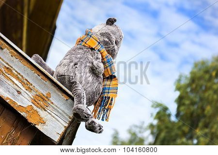 plush toy British cat sits on the roof of the old house.
