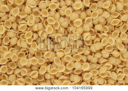 close-up of dry uncooked conchiglie pasta