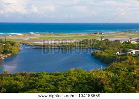 Forest and lake