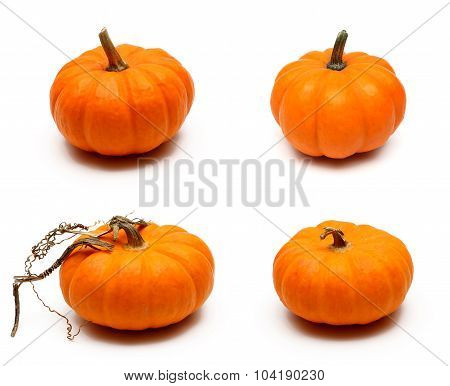 Pumpkins