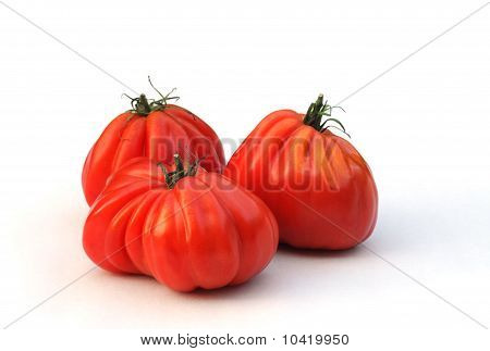 Oxheart tomatoes on white