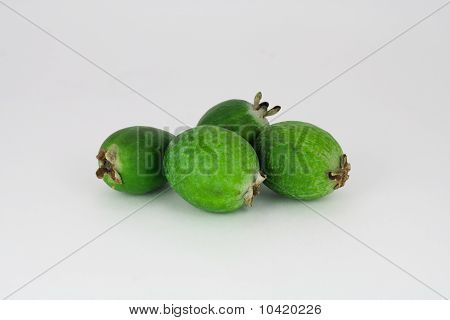 Feijoa
