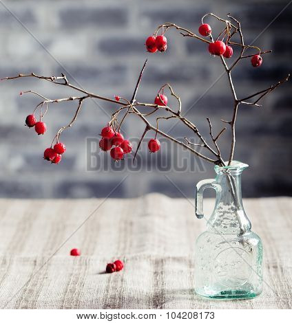 Halloween, gothic background. Hawthorn brunches.