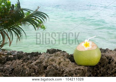 Tropical Coconut Refreshment