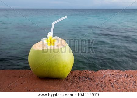 Tropical Coconut Refreshment