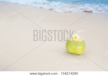 Tropical Coconut Refreshment