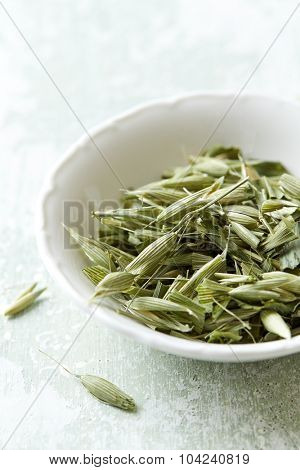 Organic green oats ( avena sativa)