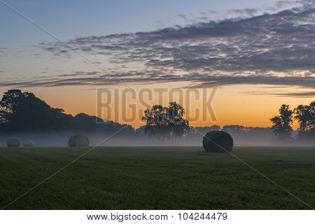 Packed Roles Grass In The Early Morning