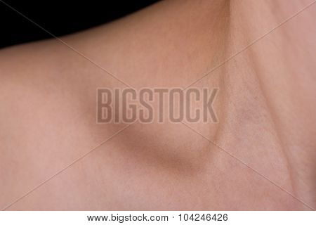 Woman's Collarbone