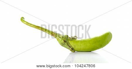 Eggplant On White Background.