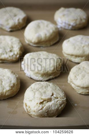 Biscuit Dough.