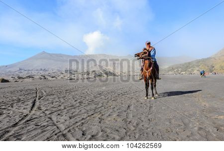 worker sitting horse