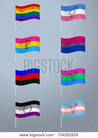 Sexual Orientation Waving Flag Set