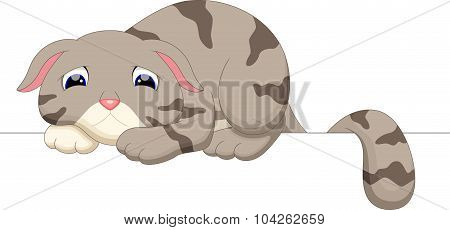 Cute cat cartoon