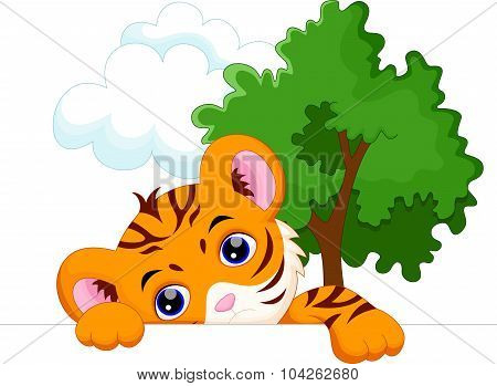 Cute tiger cartoon