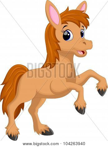 Cute horse cartoon